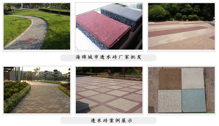 你這小暴脾氣,也就我能治住你!
